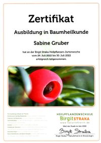 Zertifikat Baumheilkunde_JurtenwocheSabine