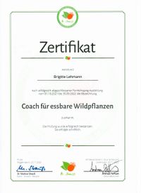 Zertifikat Coach Brigitte