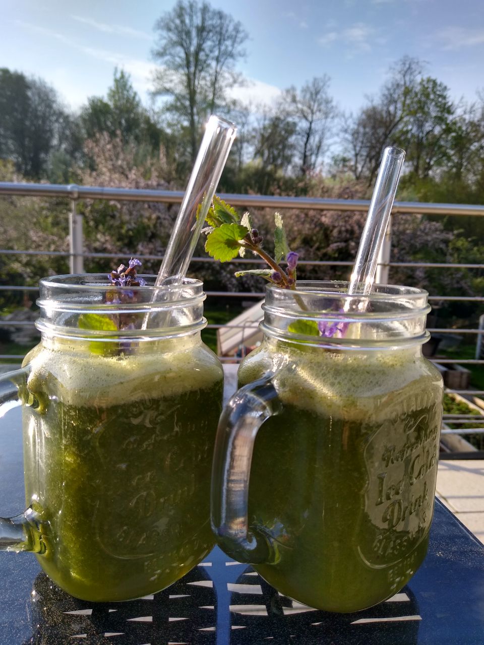 Kräuterwanderung und Wildkräuterführung mit leckerer Verköstigung Kräuterwanderung und Wildkräuterführung mit leckerer Verköstigung